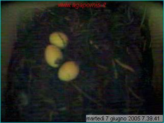 capture05-06-07@07`39`41.jpg