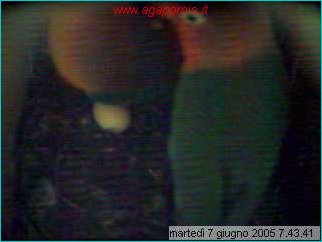 capture05-06-07@07`43`41.jpg