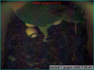 capture05-06-07@07`55`41.jpg