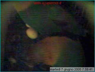 capture05-06-07@07`59`41.jpg