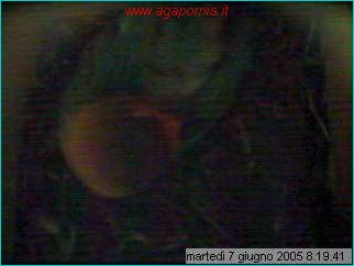capture05-06-07@08`19`41.jpg