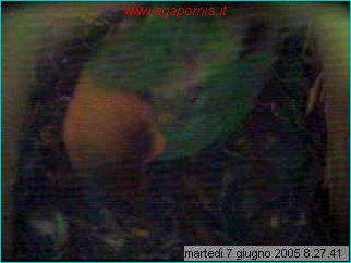 capture05-06-07@08`27`41.jpg