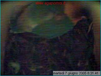 capture05-06-07@08`31`41.jpg