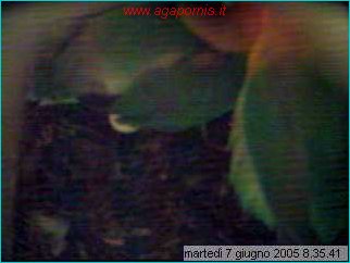 capture05-06-07@08`35`41.jpg