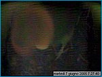 capture05-06-07@07`27`40.jpg