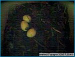 capture05-06-07@07`39`41.jpg
