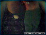 capture05-06-07@07`43`41.jpg