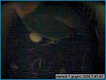 capture05-06-07@07`47`41.jpg