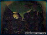 capture05-06-07@07`55`41.jpg