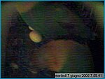 capture05-06-07@07`59`41.jpg