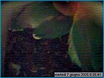 capture05-06-07@08`35`41.jpg