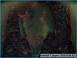 capture05-06-07@08`55`42.jpg