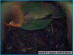 capture05-06-07@08`59`42.jpg
