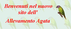 Allevamento Agata