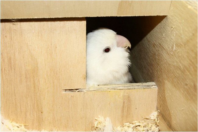 Foto 02.JPG