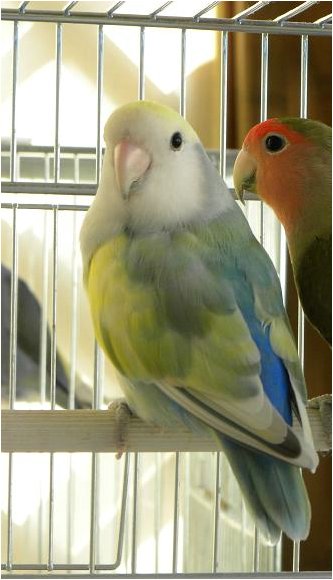 Foto 06.jpg